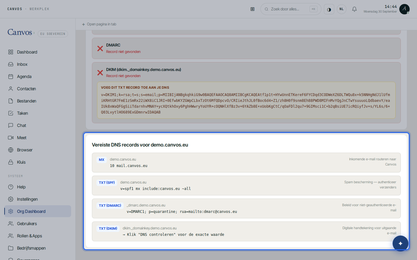 De vereiste DNS-records voor demo.canvos.eu na de controle
